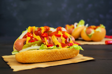 Delicious homemade hot dog on dark background