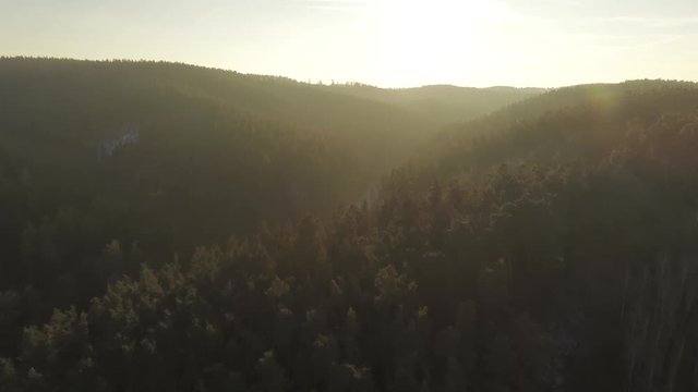 Wald