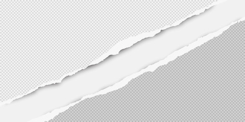 Diagonal torn white squared paper strips for text or message are on white background. Vector illustration