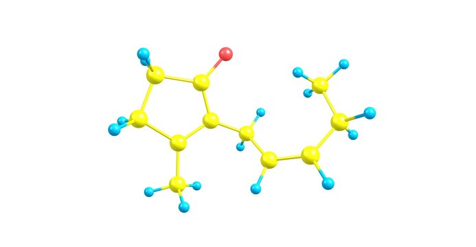Jasmone molecular structure isolated on white