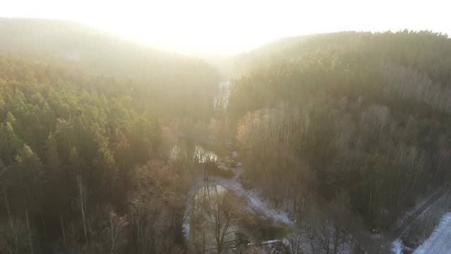Wald