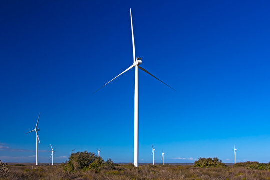 Seven wind turbines in field