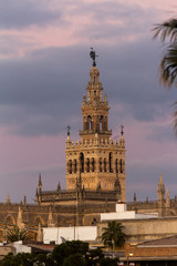 Fototapeta na wymiar Sunset seen behind the Giralda in Seville