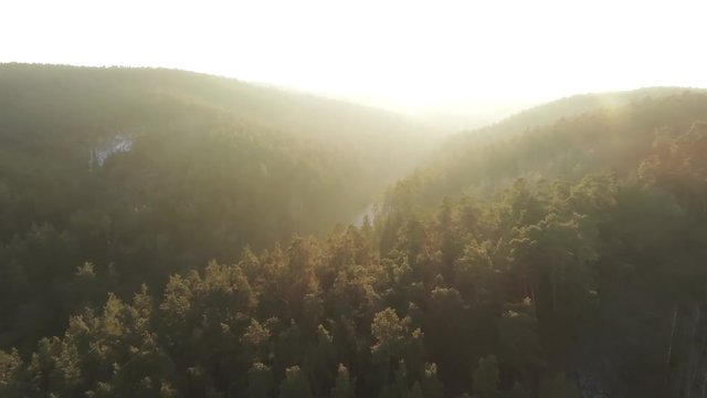 Wald