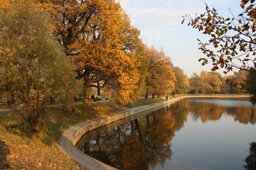 Obraz premium autumn in the park