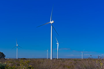 Five wind turbines in field