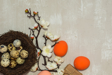 happy Easter card. eggs in a nest of colored eggs, blooming branch