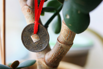 Fototapeta na wymiar Chinese coin on a money tree