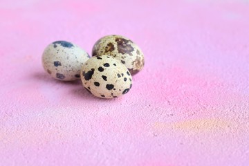 Tree easter quail eggs with selective focus on pink decorative plaster surface with empty space. Little organic egg with pattern eggshell. Nature protein ingredients for healthy delicious breakfast.