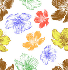 Seamless floral background with flowers  hand drawing