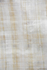 Papyrus paper texture