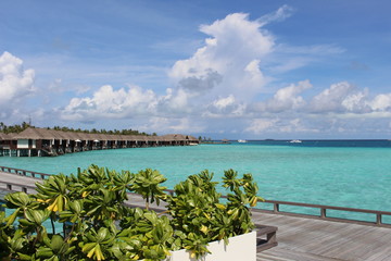 Fototapeta na wymiar Maldives landscape
