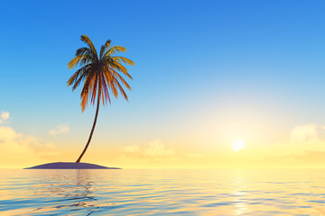 Fototapeta na wymiar island with coconut palm