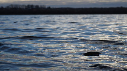 reflection in water