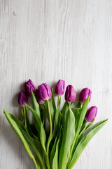 Top view, purple tulips on white wooden background. Flat lay, overhead, from above. Copy space.