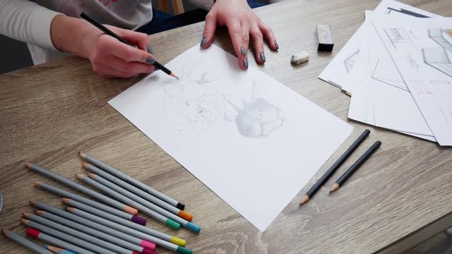 Woman artist draws a pencil sketch of flowers peonies in close-up