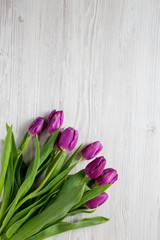 Purple tulips on white wooden background, top view. Flat lay, overhead, from above. Copy space.