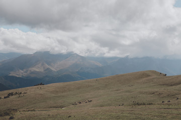 Closeup view mountains and valley scenes in national park Dombai, Caucasus