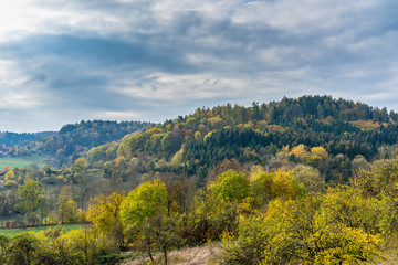Fototapeta na wymiar Colorful trees of autumn season forest