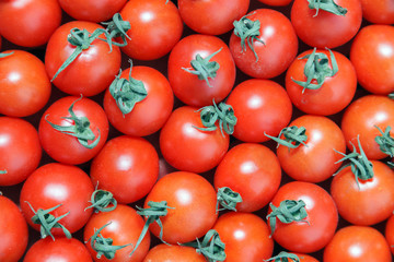 Closeup plenty red fresh ripe cherry tomatoes together with stems are awaiting distribution in box on farmers market. Concept of selling vegetables in supermarket, grocery store