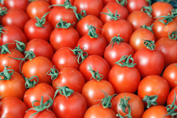 Closeup plenty red fresh ripe cherry tomatoes together with stems are awaiting distribution in box on farmers market. Concept of selling vegetables in supermarket, grocery store