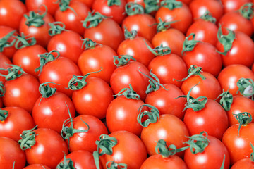 Closeup plenty red fresh ripe cherry tomatoes together with stems are awaiting distribution in box on farmers market. Concept of selling vegetables in supermarket, grocery store
