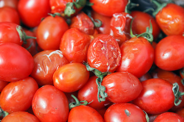 Closeup plenty crumpled red ripe cherry tomatoes together with stems are awaiting distribution in box on farmers market. Concept of selling vegetables in supermarket, grocery store