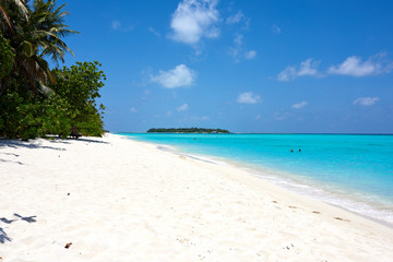 Fototapeta na wymiar tropical beach and sea maldives island ocean trees