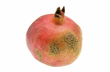 pomegranate isolated on white background