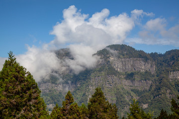 The cloudy on mountain in alishan national park at taiwan