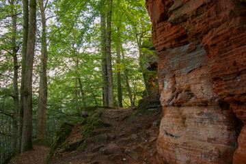 Wanderweg