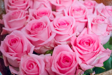 bouquet of pink roses