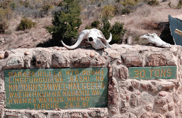 Skull on sign on safari in Tanzania