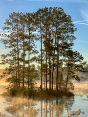 Obraz premium lake in the forest