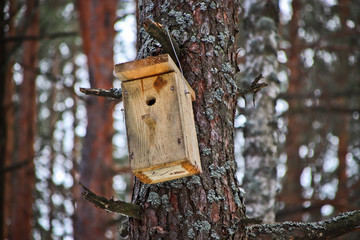 Birdhouse on the tree waiting for the starlings, on the eve of spring in the forest
