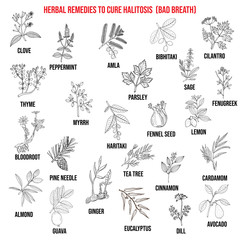 Best medicinal herbs to cure halitosis