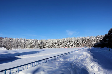 Fototapeta na wymiar Stadium covered in snow. Winter in Russia. Sunny frosty day.