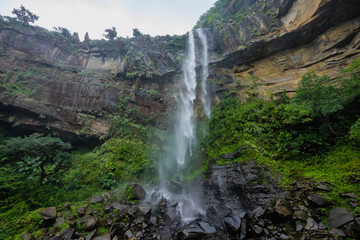 西表島・ピナイサーラの滝