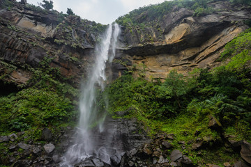西表島・ピナイサーラの滝