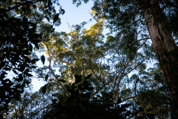 Adelaide to Melbourne