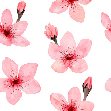 Seamless Pattern of hand drawn watercolor cherry blossom, delicate flowers. Japanese Sakura. Design for wedding invitation, fabric, packaging, textile, cover, postcard, paper, greeting cards, blog.