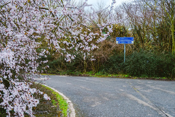 A road sign pointing towards Cranford Park