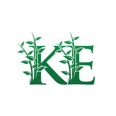 Fototapeta na wymiar Green Leaf Ke Letter Logo