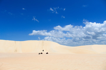 Dunas de Tatajuba