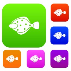Flounder fish set icon in different colors isolated vector illustration. Premium collection