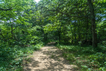 Walking path at Trustom Pond