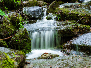 Wasserfall im Wald
