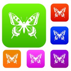 Butterfly set icon in different colors isolated vector illustration. Premium collection