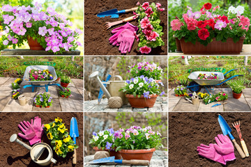 garden collage of various types of gardening tools and flowers