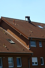 Roofer at work on the roof